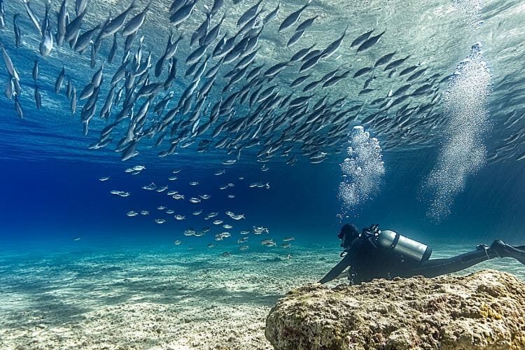 أجمل شواطئ تركيا الساحرة لقضاء عطلة صيفية لا تُنسى 5 الأنشطة البحرية والرياضات المائية
