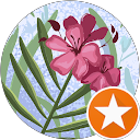 اميرة ا. profile picture