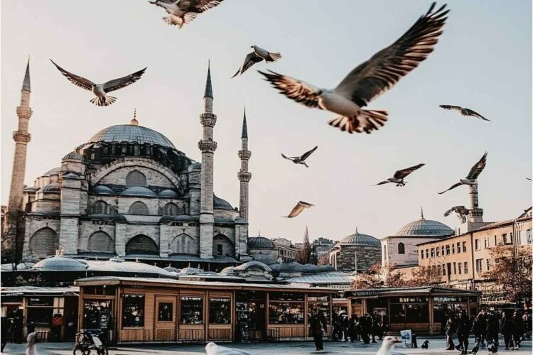 تكلفة السفر الى تركيا