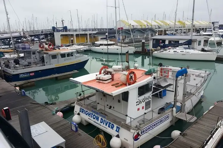 برايتون مارينا Brighton Marina
