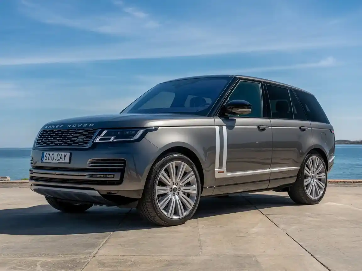 Chauffeur car fleet