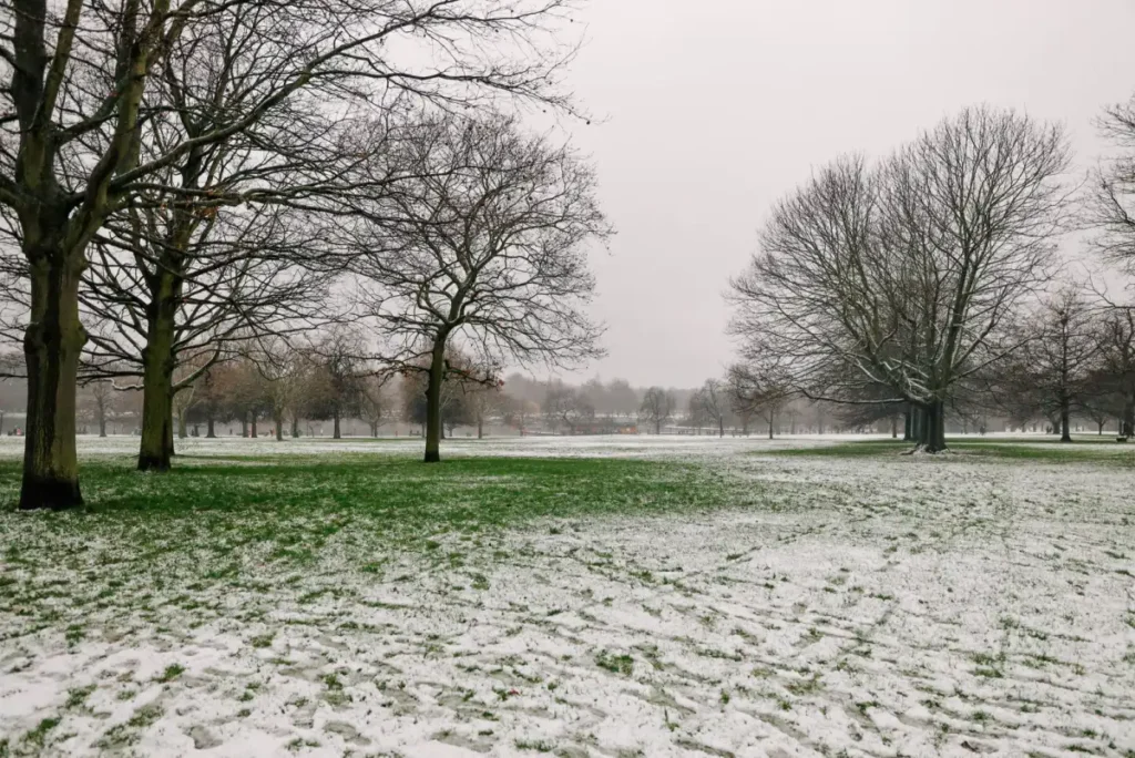 Frost and light snow across Hyde Park in London on a January morning