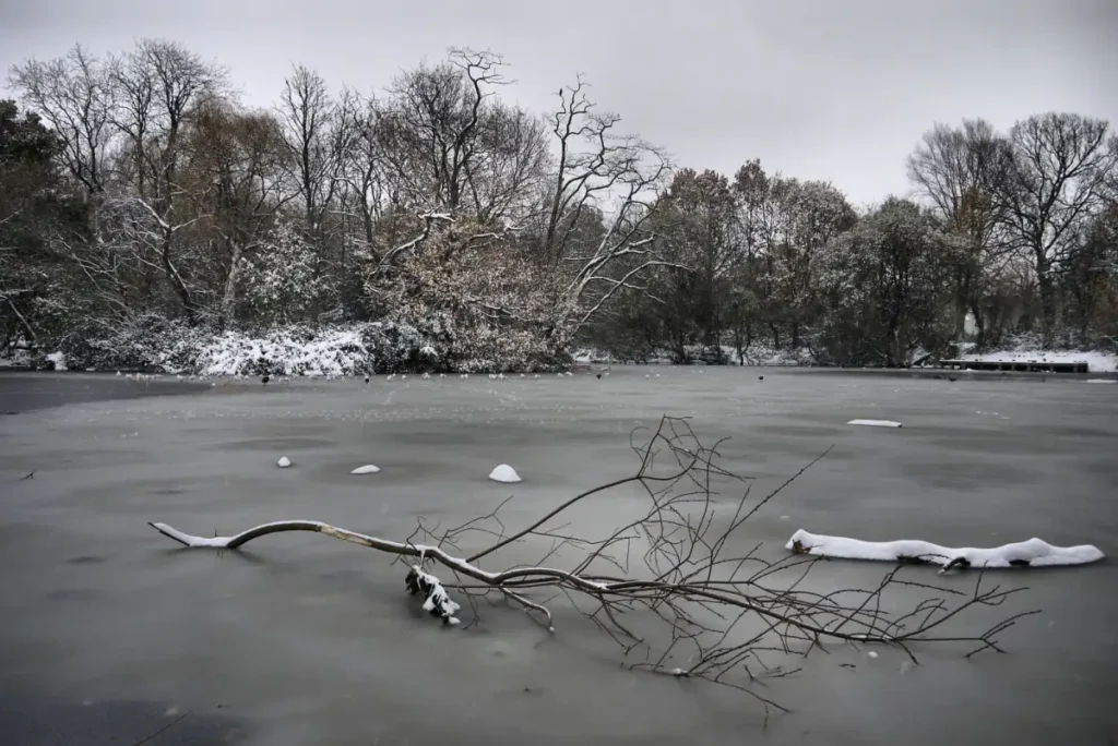 A frozen lake in a London park on a still winter day