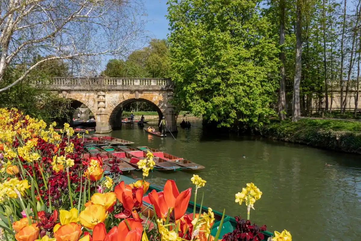 Punts on the River Cherwell below Magdalen Bridge on a summer afternoon