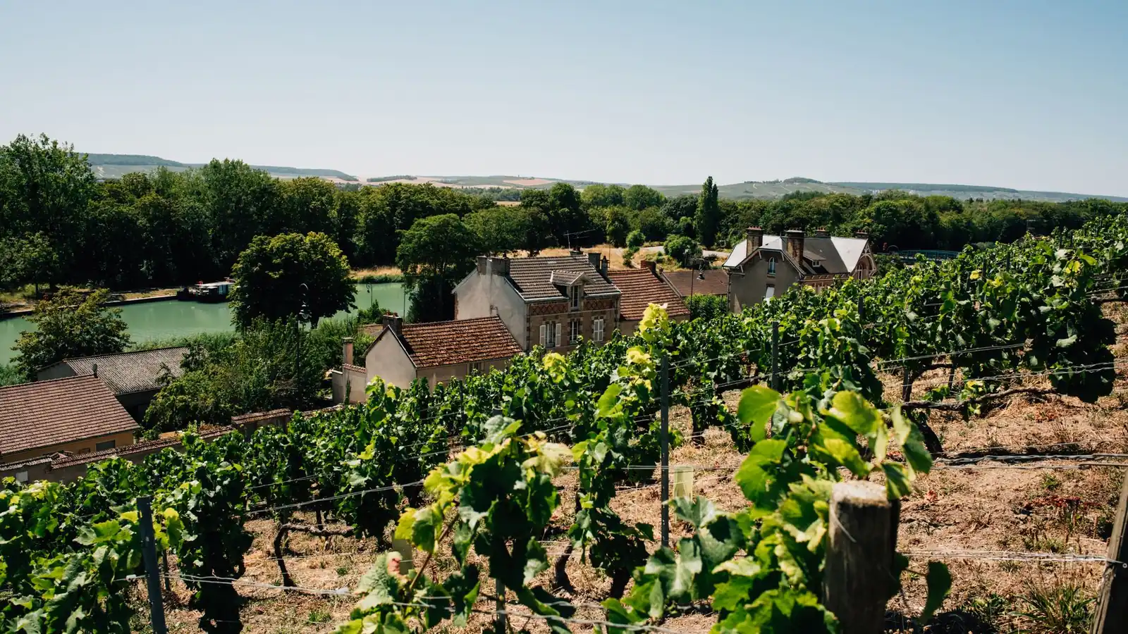 Champagne day trip from Paris: vineyards on the hills around Épernay