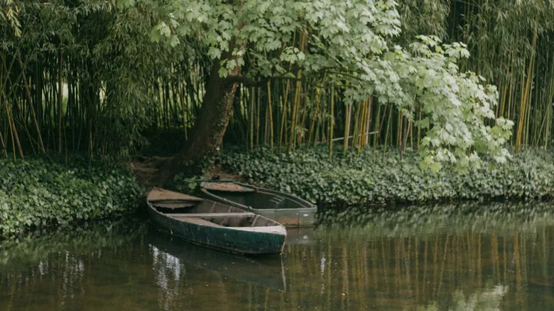 Rowing boats on the pond in Monet’s garden at Giverny