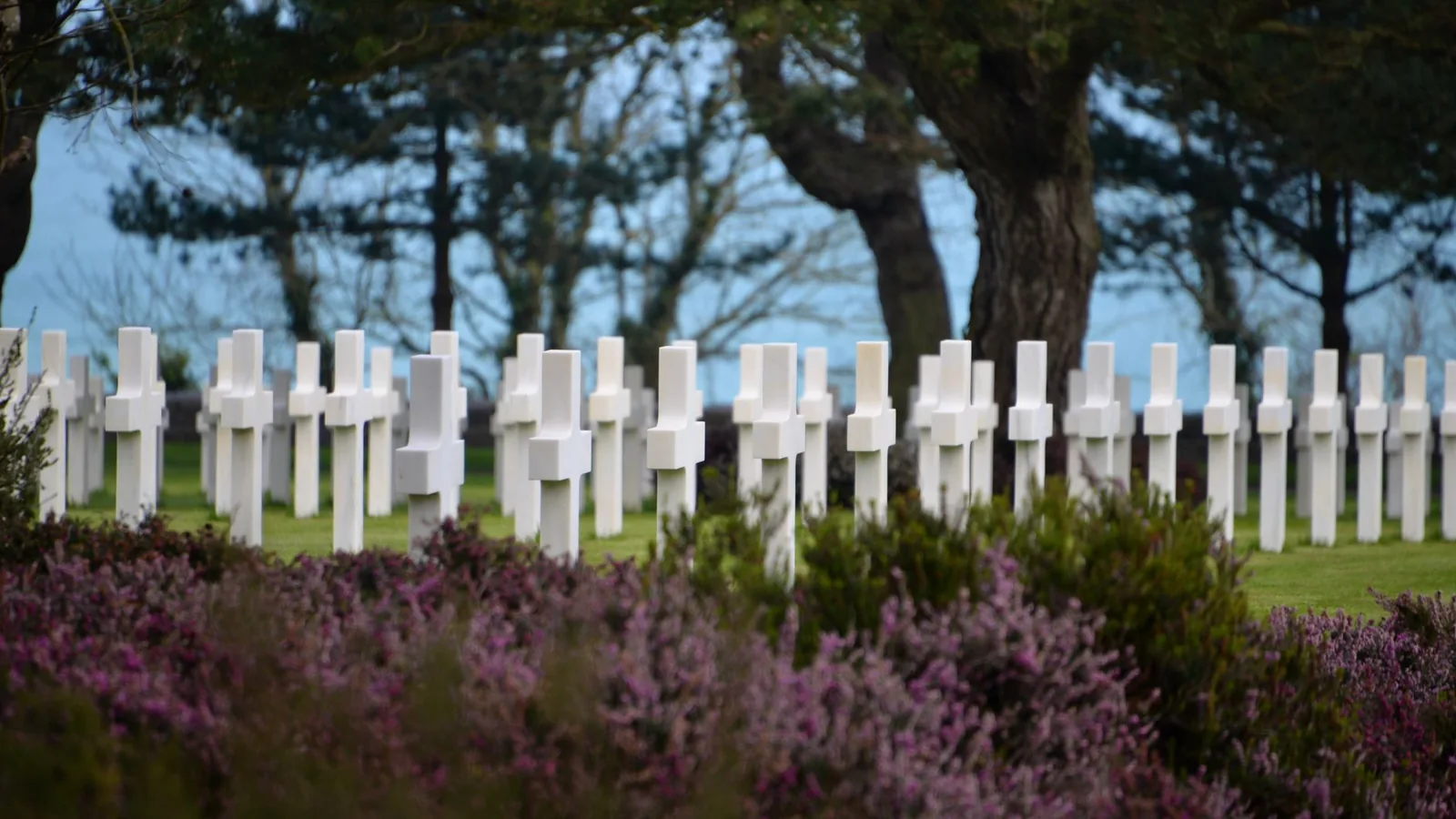 Normandy D-Day tour from Paris: rows of white crosses at the Normandy American Cemetery
